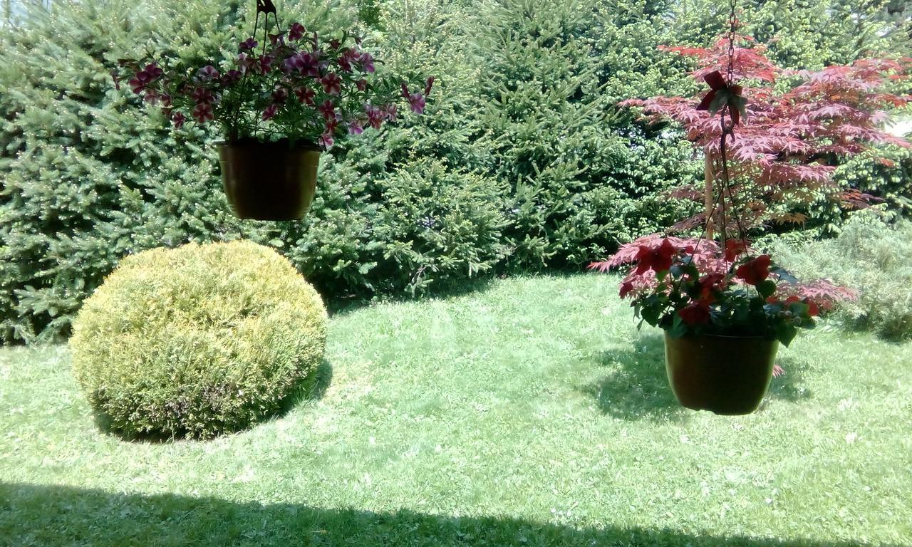 Apartmani Nais Zlatibor Exteriér fotografie