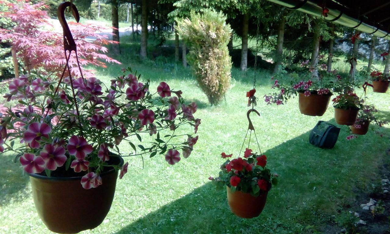Apartmani Nais Zlatibor Exteriér fotografie